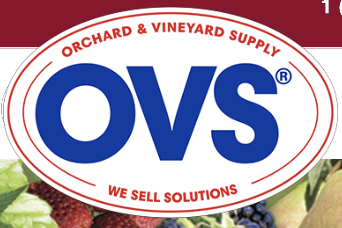 OVS